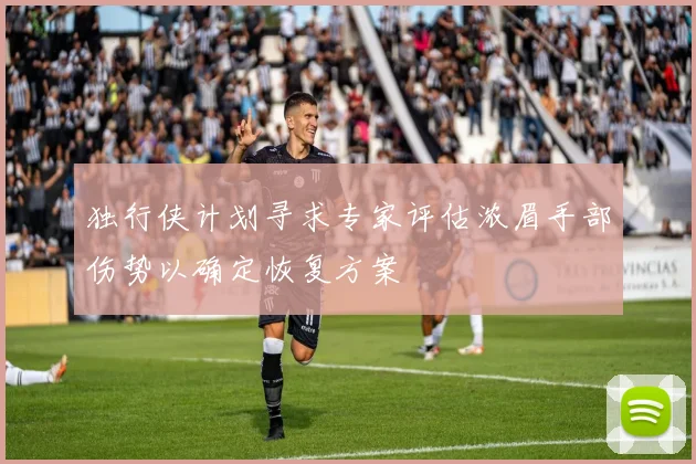 独行侠计划寻求专家评估浓眉手部伤势以确定恢复方案