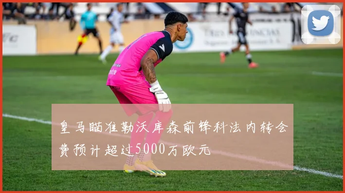 皇马瞄准勒沃库森前锋科法内转会费预计超过5000万欧元